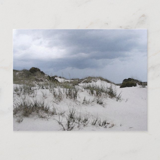 Postal Dunas de Cumberland Island (Anverso)
