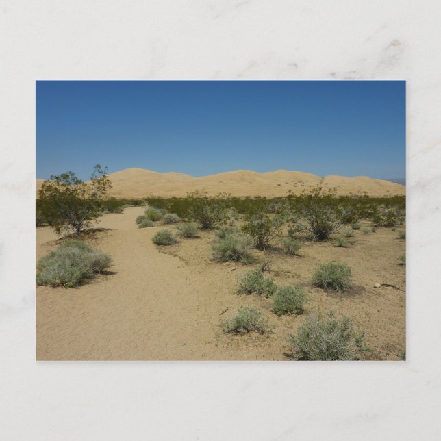 Postal Dunas de Kelso en el Parque Nacional Mojave (Anverso)