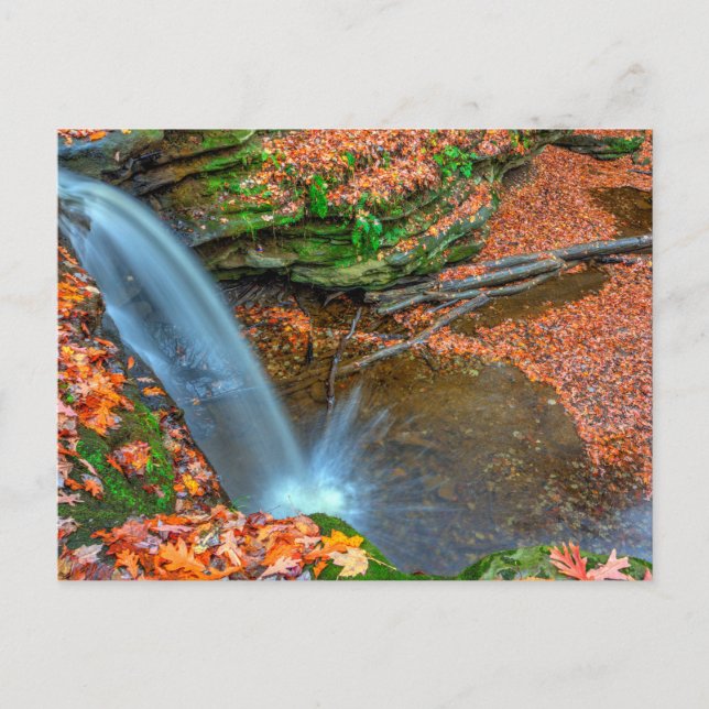 Postal Dundee Falls en otoño, Ohio (Anverso)