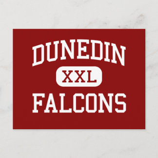 Postal Dunedin - Falcons - Secundaria - Dunedin Florida
