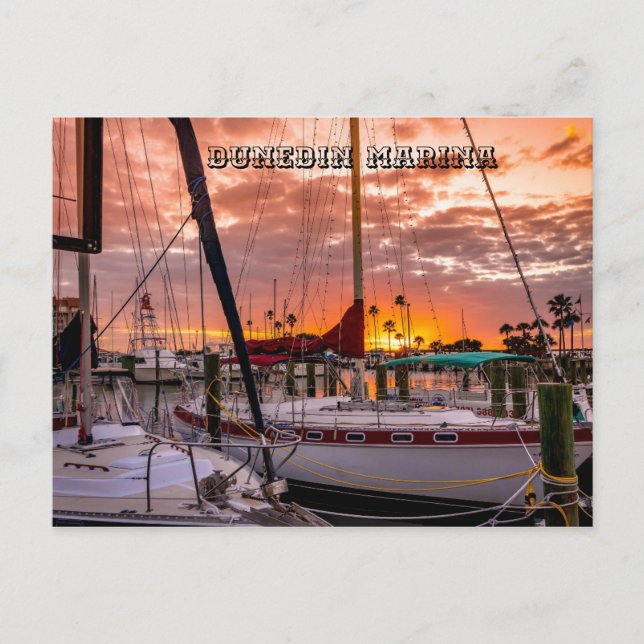 Postal Dunedin Marina Sunset Florida (Anverso)