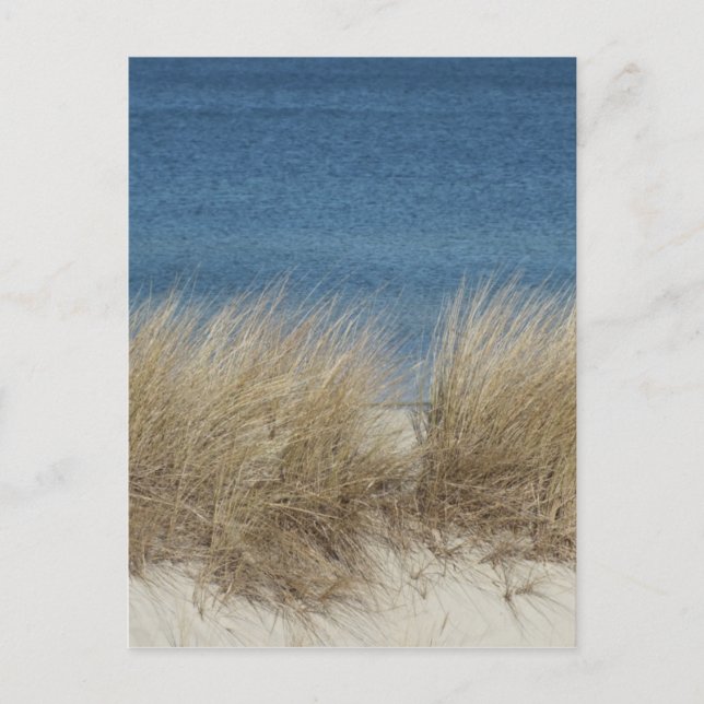 Postal dünen (Anverso)