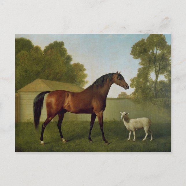 Postal Dungannon, la propiedad de coronel O'Kelly (Anverso)