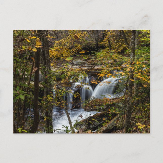 Postal Dunloup Creek Falls | Virginia Occidental (Anverso)