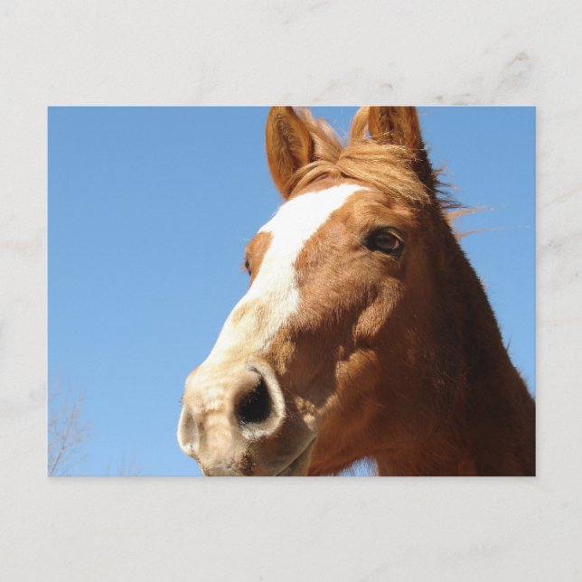 Postal Dunnit (Anverso)