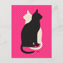 Postal Dúo blanco de Catz del gatito del negro de la
