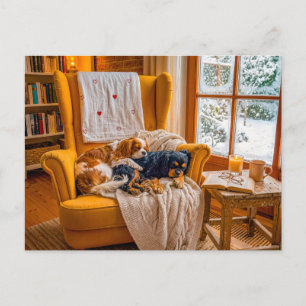 Postal Dúo de spaniel en sillón de invierno acogedor