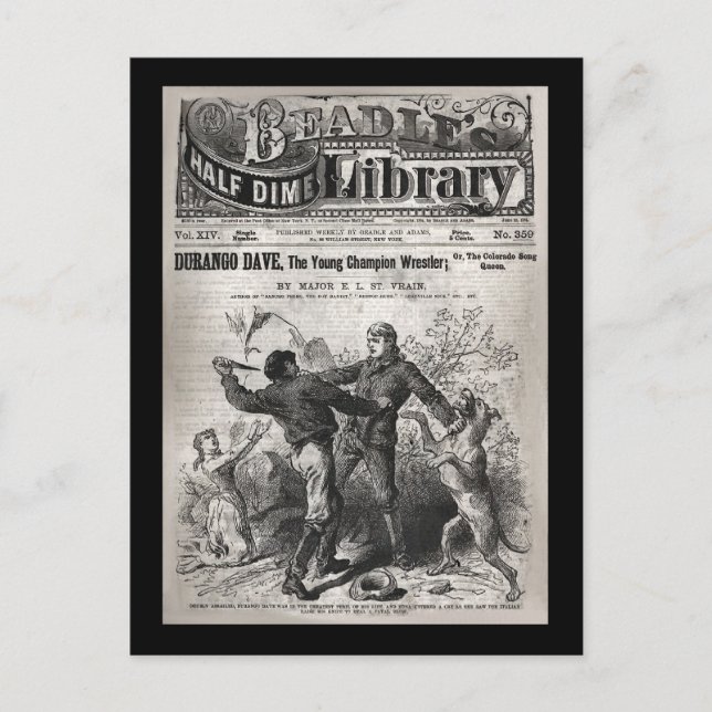 Postal Durango Dave - Biblioteca de Dinero Media de Beadl (Anverso)