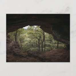 Postal Durchblickkammer Pfälzerwald