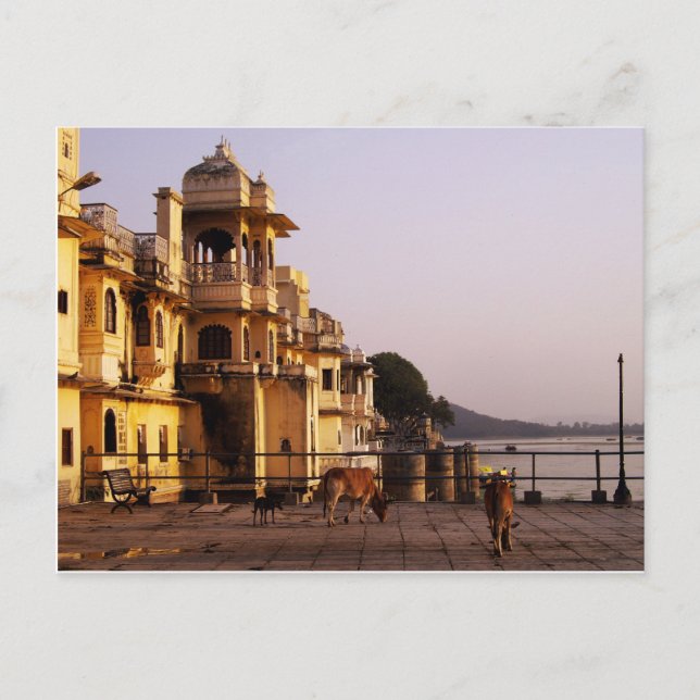 Postal Dusk en Ganghaur Ghat, Udaipur, Rajasthan, India (Anverso)