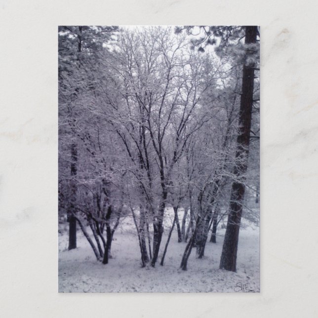 Postal Dustación (Anverso)