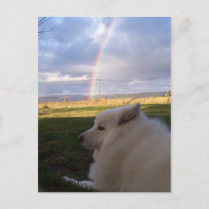 Postal Dusty los Encanta a todos