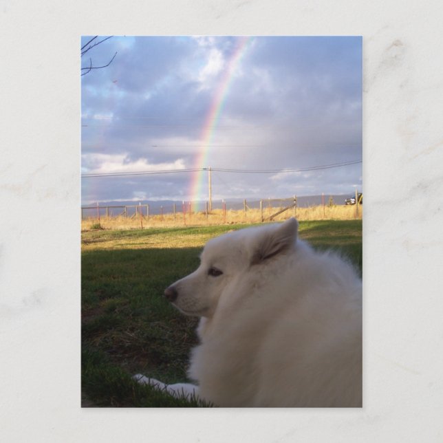 Postal Dusty los Encanta a todos (Anverso)