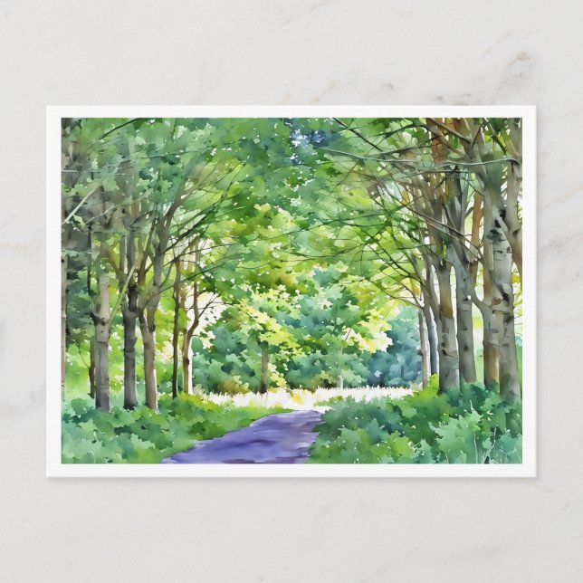 Postal Dutch Salland Region Westerveldse Bos Forest (Anverso)