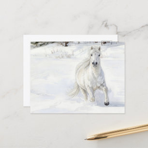 Postal Dyfra el caballo islandés galopando en la nieve