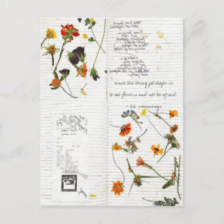 Postal e.e. comino flor prensada diario cursivo