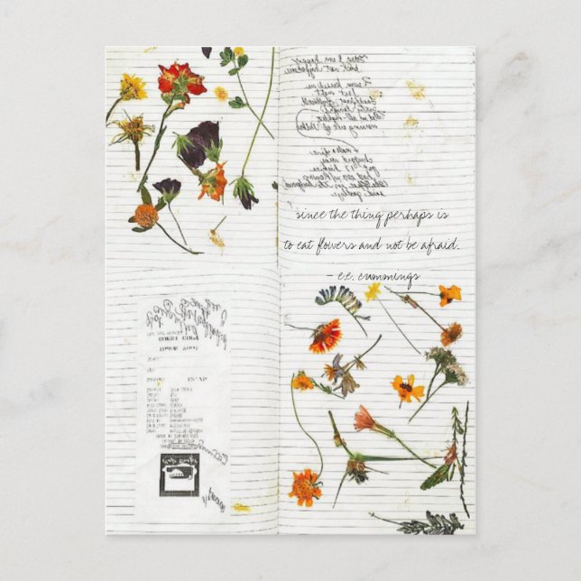Postal e.e. comino flor prensada diario cursivo (Anverso)
