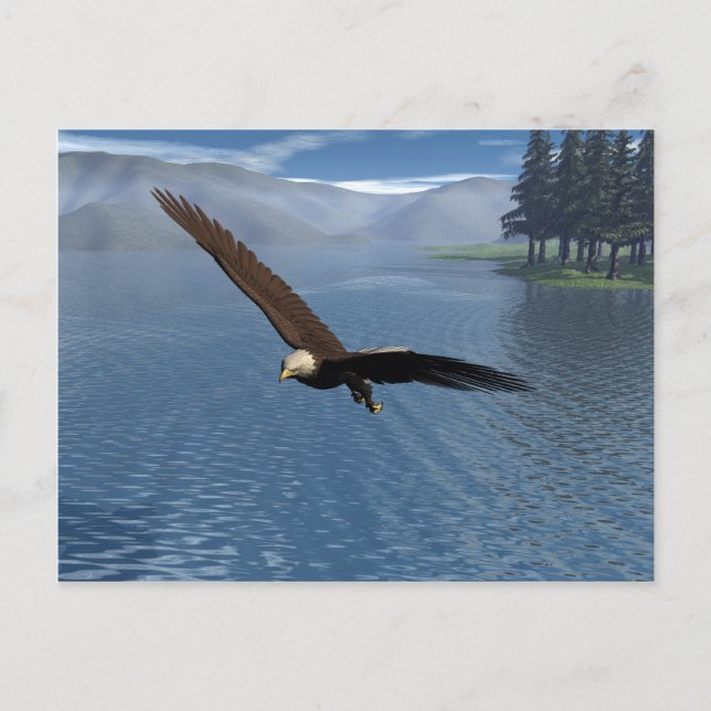 Postal Eagle (Anverso)