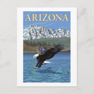Postal Eagle DivingArizona