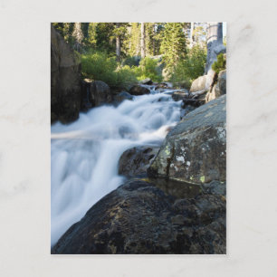 Postal Eagle Fall