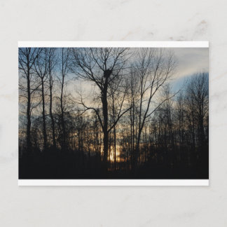 Postal Eagle Nest Sunset