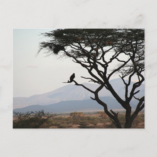 Postal Eagle Owl Silhouette (Anverso)