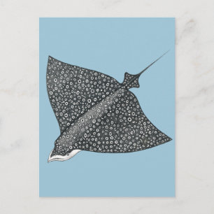 Postal Eagle Ray