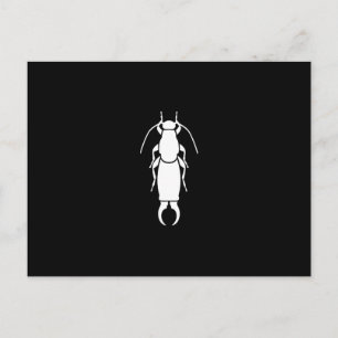 Postal Earwig