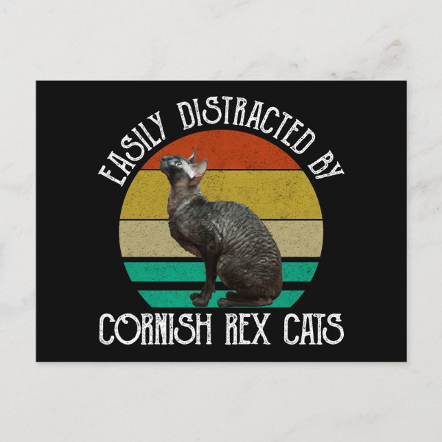 Postal Easily Distracted By Cornish Rex Cats (Anverso)