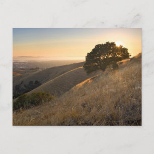 Postal East Bay Hills en verano