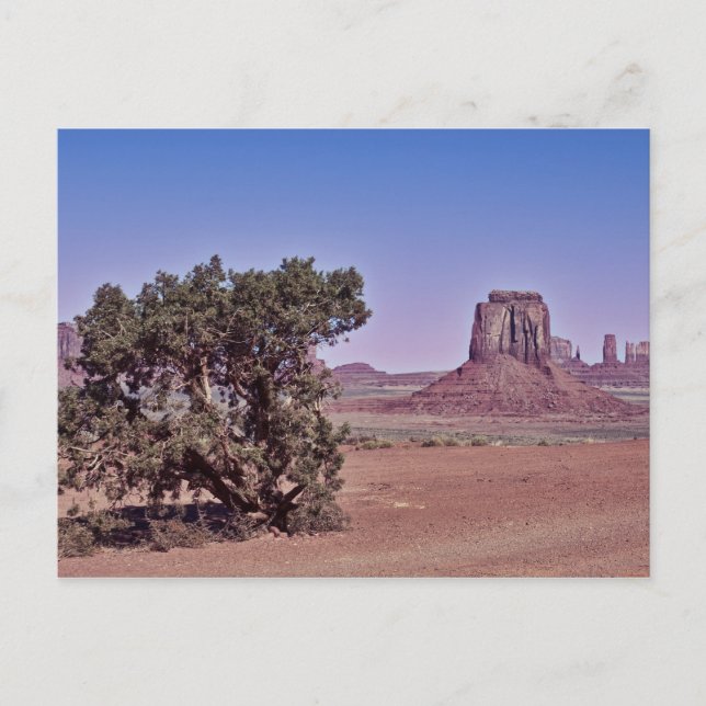 Postal East Mitten Bute (Anverso)