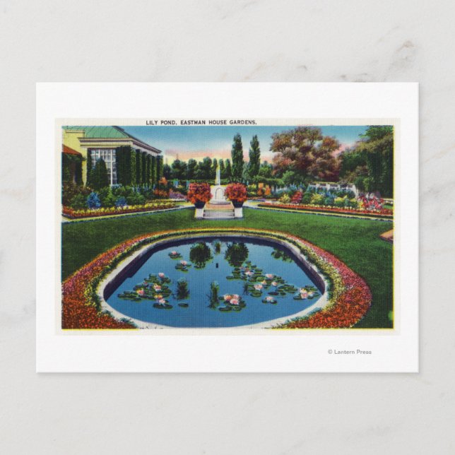 Postal Eastman House Gardens Lily Pond (Anverso)