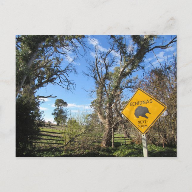 Postal echidnas (Anverso)