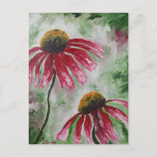 Postal Echinacea