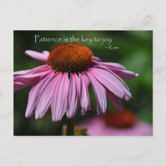Postal Echinacea con cita de paciente
