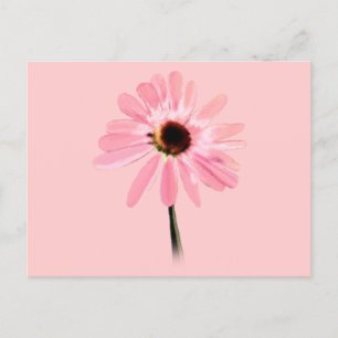 Postal Echinacea purpurea