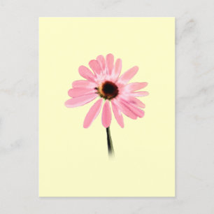 Postal Echinacea purpurea