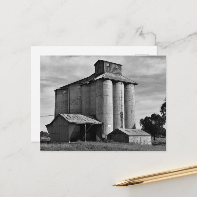 Postal Echoes of the Harvest (Anverso/Reverso In Situ)