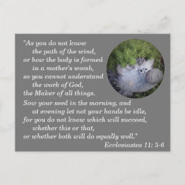 Postal Eclesiastés 11:5-6 Versículo Bíblico de Memorizaci