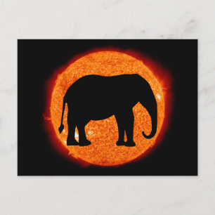 Postal Eclipse solar elefante