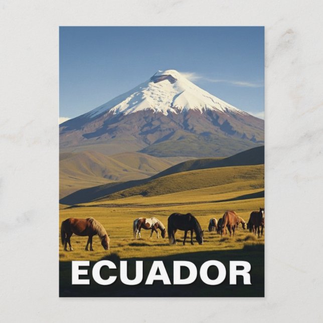 Postal Ecuador Cotopaxi National Park travel (Anverso)