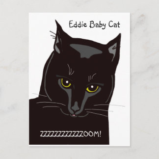 Postal Eddie Baby Cat Postcard