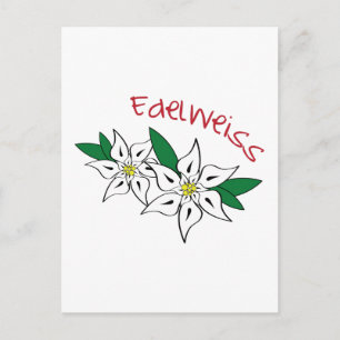 Postal Edelweiss