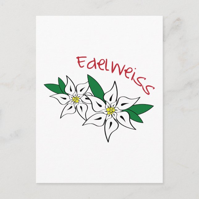 Postal Edelweiss (Anverso)