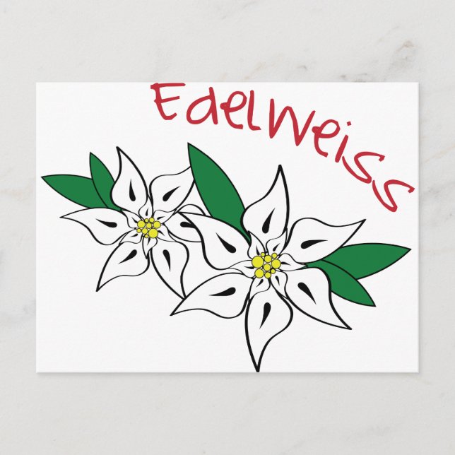 Postal Edelweiss (Anverso)