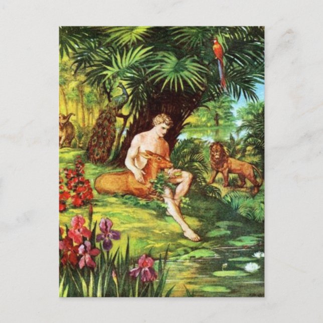 Postal Eden Adam In The Garden (Anverso)