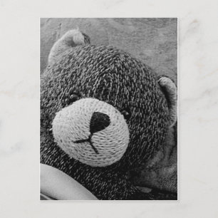Postal ¡Edgar Shadows Sweet Teddy!