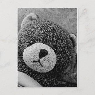 Postal ¡Edgar Shadows Sweet Teddy!
