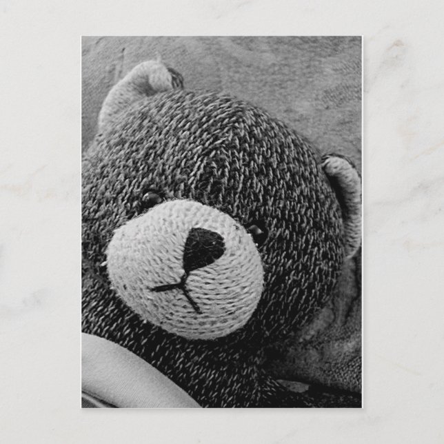 Postal ¡Edgar Shadows Sweet Teddy! (Anverso)