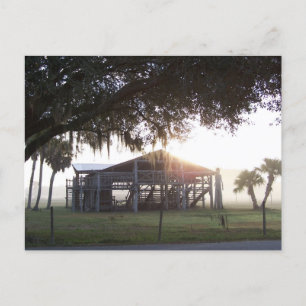 Postal Edificio antiguo bajo árboles con estatua de hombr